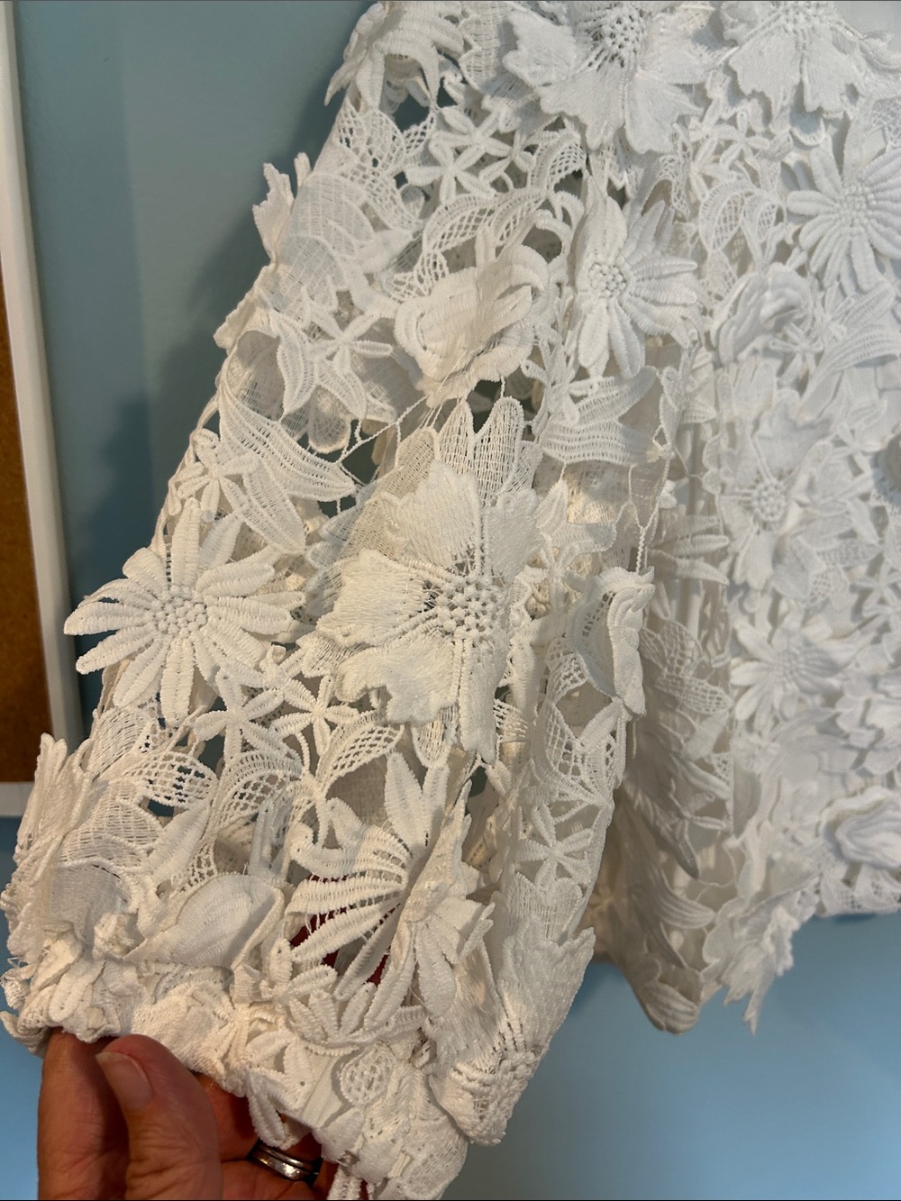 Embroidered Floral Lace White Boxy Crop Blouse